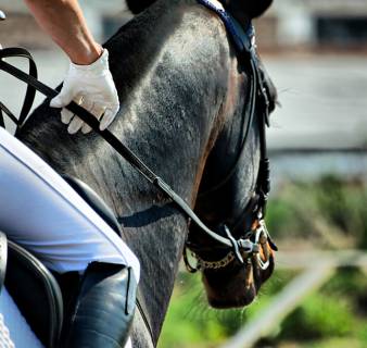 The CSIO Barcelona International Show Jumping Competition