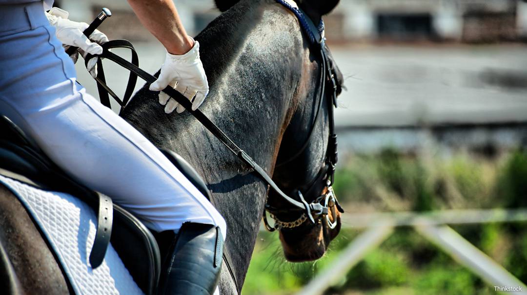 Le CSIO Barcelona Concours de sauts international