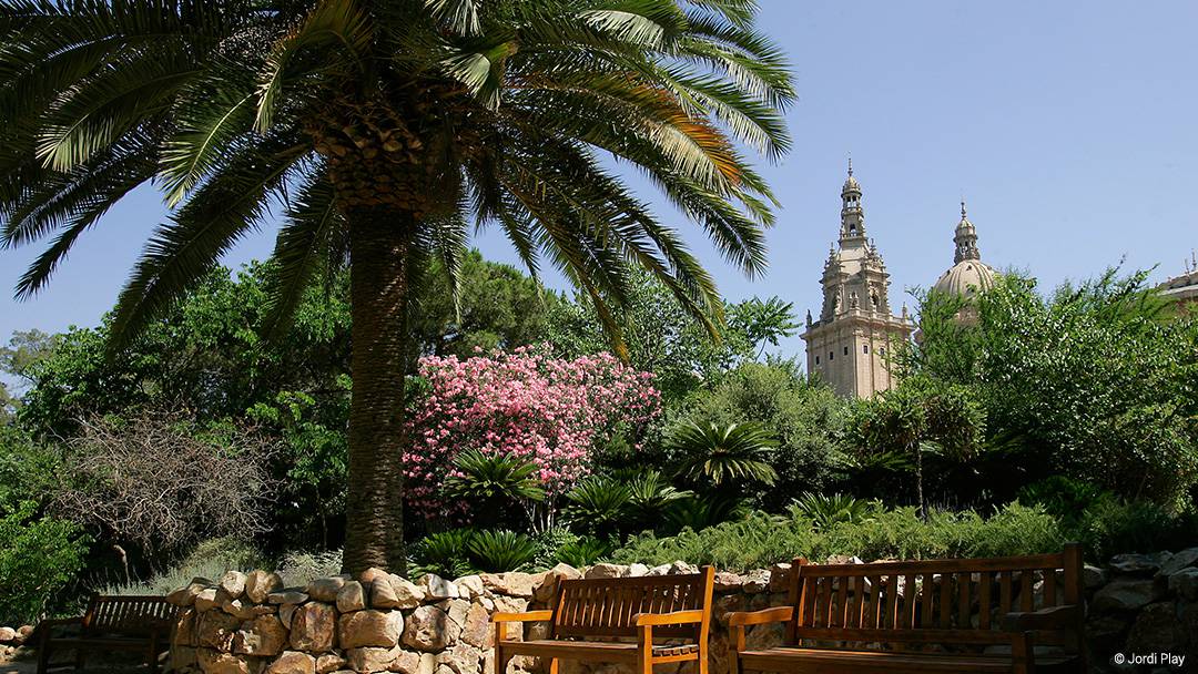 Top 6 Parks in Barcelona - View on Palau Nacional on Montjuïc