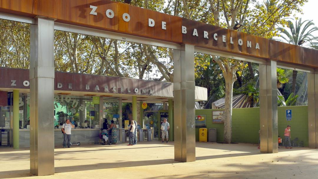 Entradas al zoo de barcelona