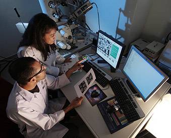 Financial aid and support from public bodies for research