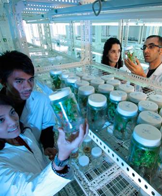 Principals línies estratègiques d’investigació Principals línies d’investigació a Barcelona